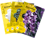 Bienenpflege